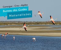 Bureau des guides naturalistes - Bureau des guides naturalistes © Bureau des guides naturalistes