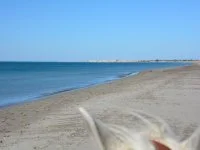 13T3000622_4_HD.jpg &copy; 