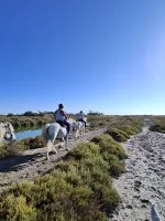 L'Oasis Camarguaise_Saintes-Maries-de-la-Mer &copy; 