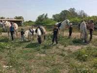 L'Oasis Camarguaise_Saintes-Maries-de-la-Mer &copy; 