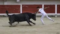 Courses camarguaises organis&eacute;es par le Club Taurin Lou Santen_Saintes-Maries-de-la-Mer &copy; 