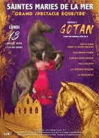 Grand Spectacle Equestre_Saintes-Maries-de-la-Mer &copy; 