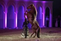 Grand Spectacle Equestre_Saintes-Maries-de-la-Mer &copy; 