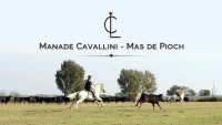 Visite de la Manade Cavallini_Saintes-Maries-de-la-Mer &copy; 