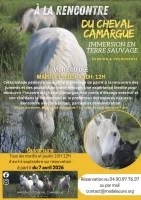 D&eacute;couverte d'une manade de chevaux de race Camargue_Saintes-Maries-de-la-Mer &copy; 