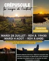 Sorties Nature Immersives Cr&eacute;pusculaires_Saintes-Maries-de-la-Mer &copy; 
