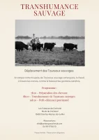 Transhumance sauvage_Saintes-Maries-de-la-Mer &copy; 