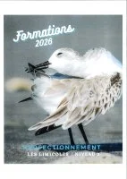 Formation "Les limicoles"-Perfectionnement/niveau 2_Saintes-Maries-de-la-Mer &copy; 
