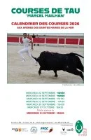 Course de Ta&ugrave;_Saintes-Maries-de-la-Mer &copy; 