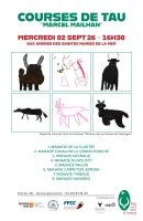 Course de Ta&ugrave;_Saintes-Maries-de-la-Mer &copy; 
