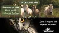 Visite guid&eacute;e &agrave; la rencontre des juments, conf&eacute;rence et l&acirc;cher d'oiseaux_Saintes-Maries-de-la-Mer &copy; 
