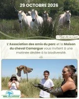Un instant suspendu en Terre Camargue_Saintes-Maries-de-la-Mer &copy; 