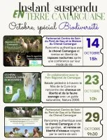 Un instant suspendu en Terre Camargue_Saintes-Maries-de-la-Mer &copy; 