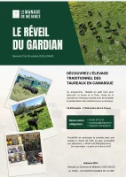 Le r&eacute;veil du Gardian_Arles &copy; 