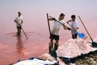 Les Salins d'Aigues Mortes - R&eacute;colte de la fleur de sel par les sauniers &copy; Gard Tourisme