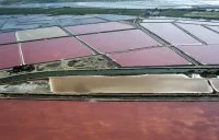 Les Salins d'Aigues-Mortes_Aigues-Mortes &copy; 