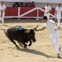Course Camarguaise 06