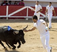 Course Camarguaise 06