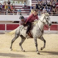 F&eacute;ria du cheval