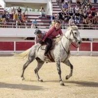F&eacute;ria du cheval