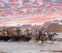 La F&eacute;ria du cheval