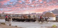 Songe d'une nuit en Camargue