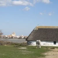 cabane de gardian 