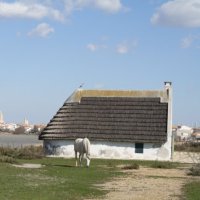 cabane de gardian 
