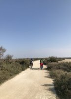 digue à la mer 4 digue à la mer 4