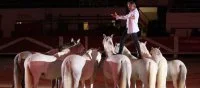 La F&eacute;ria du Cheval