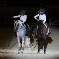 La F&eacute;ria du Cheval