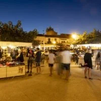 March&eacute; Nocturne 01