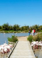 Un concentré de Camargue