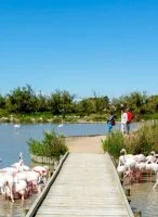 Un concentr&eacute; de Camargue